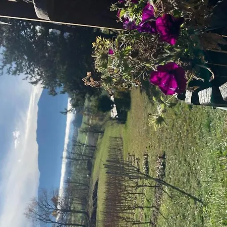 With 1 Bedroom Holiday home Seeboden