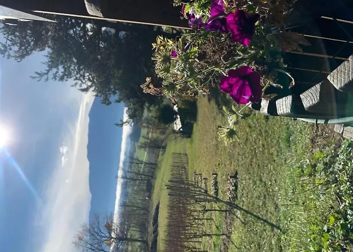 With 1 Bedroom Dom wakacyjny Seeboden